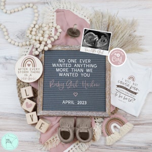 Girl Rainbow Baby Pregnancy Announcement, Editable Boho Blush Isaiah 66:9 Baby Reveal, After Every Storm There is a Rainbow Pregnancy Reveal