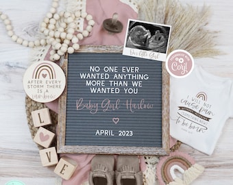 Girl Rainbow Baby Pregnancy Announcement, Editable Boho Blush Isaiah 66:9 Baby Reveal, After Every Storm There is a Rainbow Pregnancy Reveal
