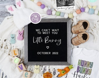 May include: A chalkboard sign with the text "We can't wait to meet you Little Bunny" and "October 2022".  A white onesie with the text "Hunny Bunny Harlow" in rainbow colors.  A white bunny hat with pink ears.  A pair of brown baby booties with bunny ears.  A white blanket with a garland of colorful felt balls.  A small ultrasound image with the text "Somebunny Special".  A pacifier and a carrot toy.