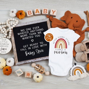 May include: A baby announcement with a letter board that reads "No one ever wanted anything more than we wanted you."  The board is surrounded by fall-themed decorations, including pumpkins, cinnamon sticks, and a wooden elephant. The announcement also includes a white onesie with the text "After every storm comes a rainbow" and a rainbow graphic.