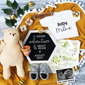 Winnie-the-Pooh Pregnancy Announcement, Hunny Bear Themed Baby Reveal, A Grand Adventure is About to Begin, First Pregnancy Reveal