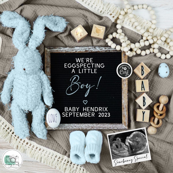 Boy Easter Digital Pregnancy Announcement, Baby Boy Reveal Template, Editable It's A Boy Pregnancy Template, We're Eggspecting a Little Boy