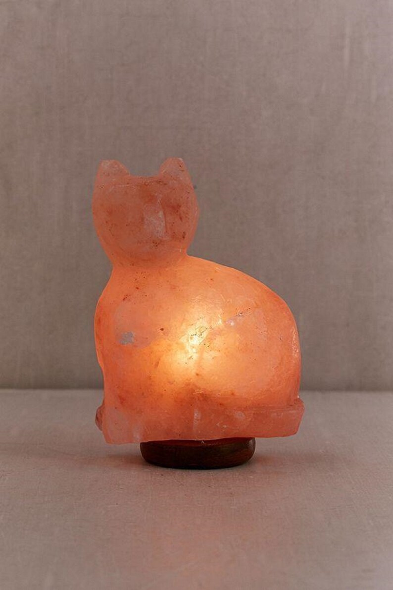 Cat Himalayan Salt Lamp 100 Real Himalayan Pink Salt Etsy