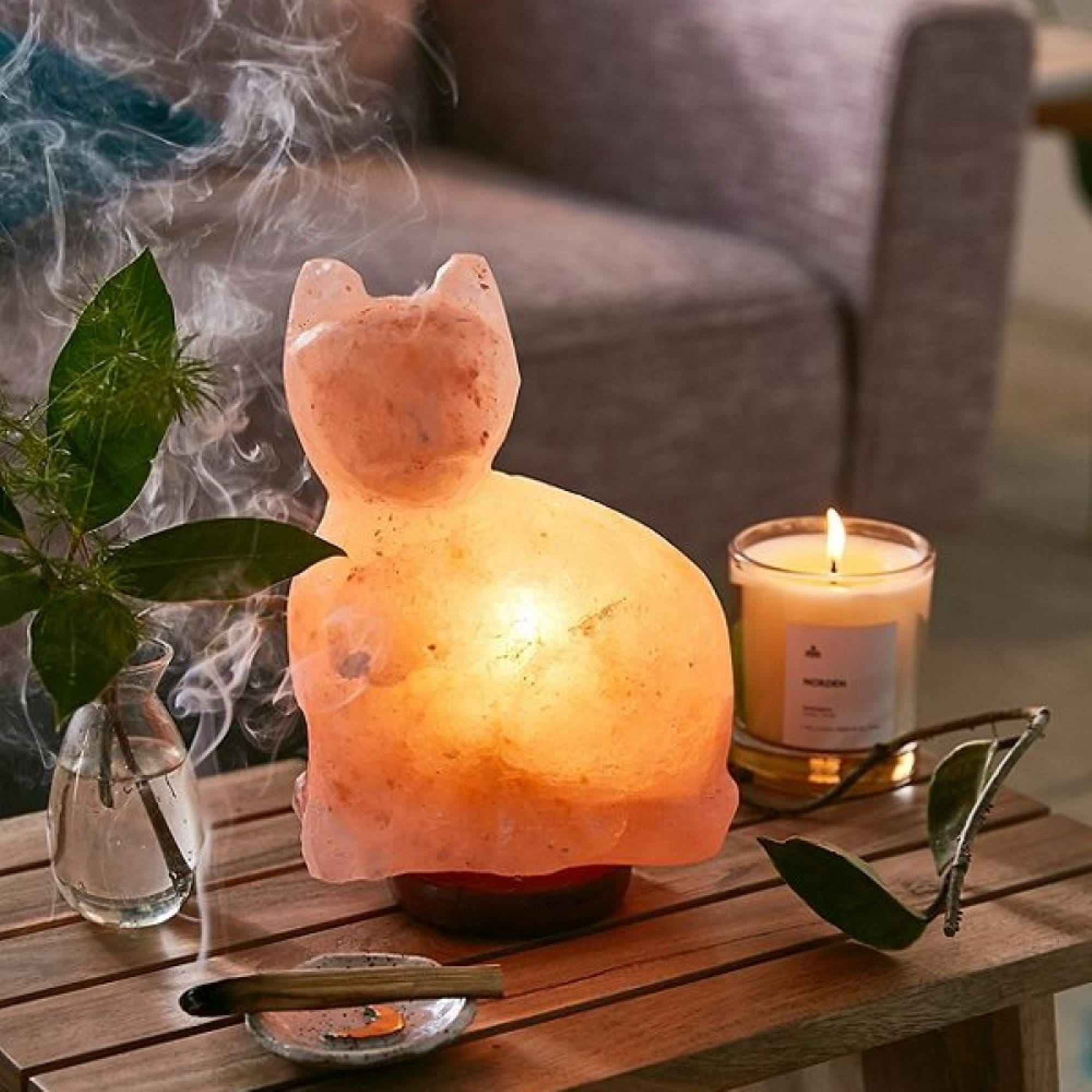 Original Himalayan Salt Lamp (Medium)