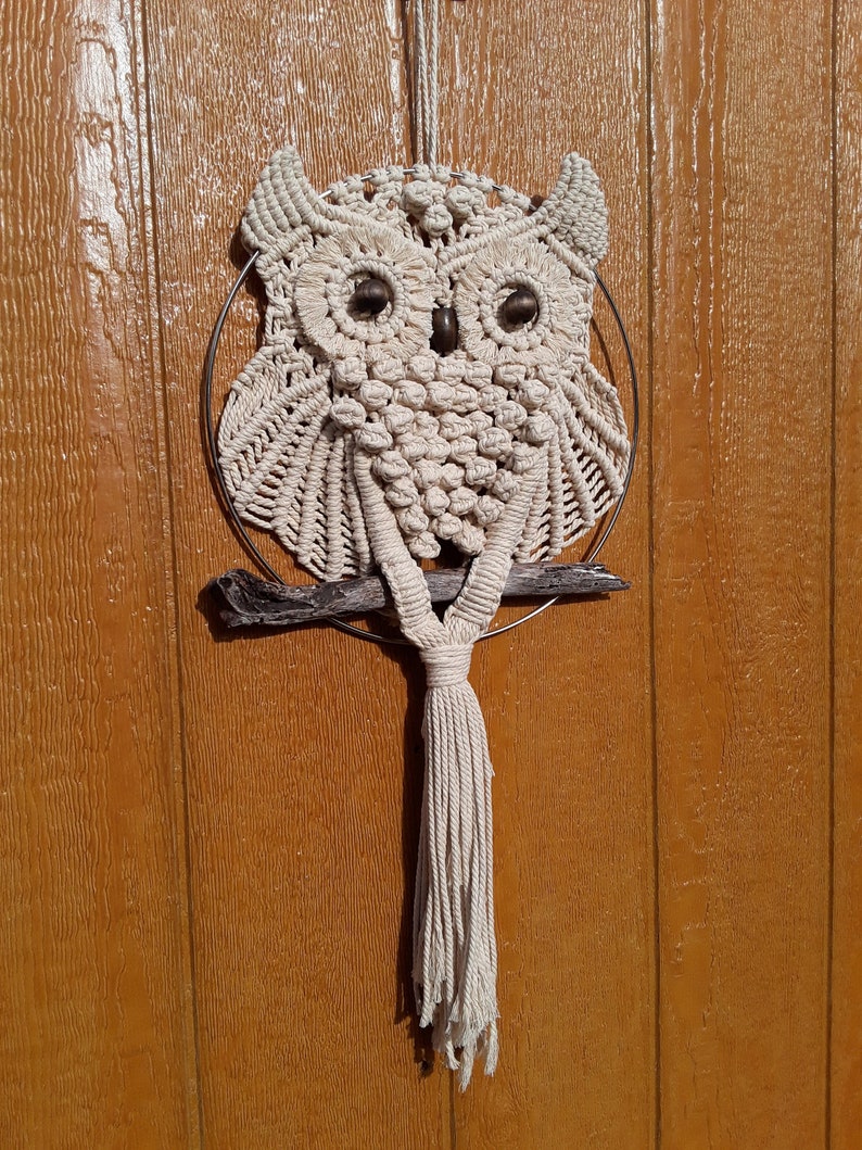 Macrame Owl Wall Hanging Etsy