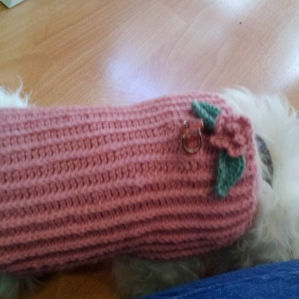 Crochet Dog Clothes Etsy