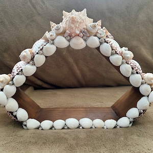 Seashell decorative shelf