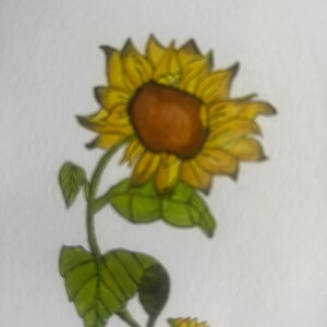 Blanco notitiekaarten bedrukt met aquarelkunst, kleurpotlood, acrylverf, pastelkleuren