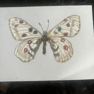 Blanco notitiekaarten bedrukt met aquarelkunst, kleurpotlood, acrylverf, pastelkleuren