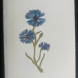 Blanco notitiekaarten bedrukt met aquarelkunst, kleurpotlood, acrylverf, pastelkleuren
