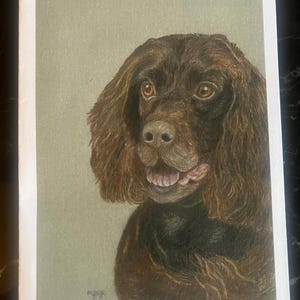 Blanco notitiekaarten bedrukt met aquarelkunst, kleurpotlood, acrylverf, pastelkleuren