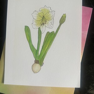 Blanco notitiekaarten bedrukt met aquarelkunst, kleurpotlood, acrylverf, pastelkleuren