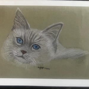 Blanco notitiekaarten bedrukt met aquarelkunst, kleurpotlood, acrylverf, pastelkleuren