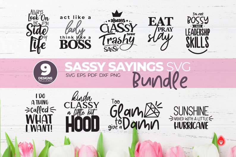 Download Sassy Quotes SVG Cut File Bundle Funny Sayings SVG & DXF ...