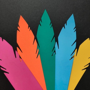 May include: A fan of colorful paper feathers in pink, orange, green, blue, and yellow against a black background. The feathers have detailed cut-out edges, creating a textured appearance. The arrangement suggests a decorative or artistic theme.