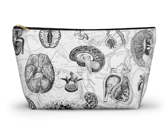 Anatomy Pencil Case 3