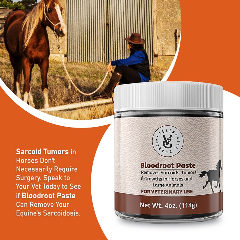 Bloodroot Paste for Sarcoid Removal in Horses and Equine Farm Etsy