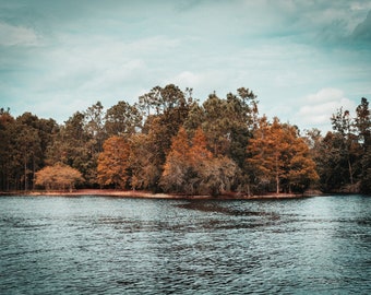 Photo Print In Autumn