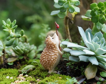 Fairy Garden Accessories Small Hedgehog Holding Ladybug Miniature Gardening, Terrarium Supply,Miniature Garden Decor