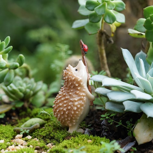 Acessórios para jardim de fadas, pequeno ouriço segurando joaninha, jardinagem em miniatura, suprimentos para terrários, decoração de jardim em miniatura