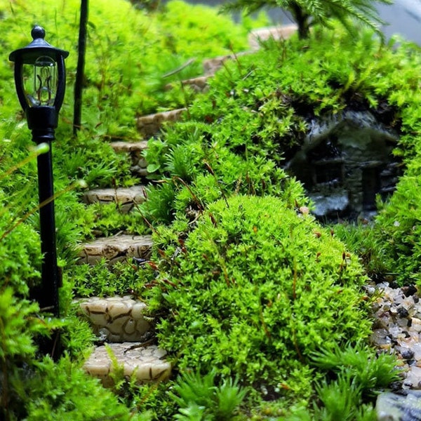 10pcs Fairy Garden Accessories Tiny Square Steps and Street Lamp , Fairy Accessories & Figurines, Miniature Gardening, Terrarium Supply