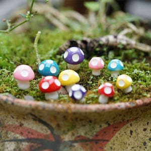 10 accessoires de jardin féeriques, petits champignons de couleurs et de tailles variées, jardinage miniature, approvisionnement pour terrarium, décoration de jardin miniature