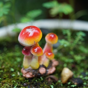 5.5CM Fairy Garden Accessories Miniature Mushrooms Miniature Gardening, Terrarium Supply,Miniature Garden Decor Red