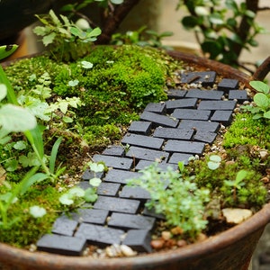 20pcs MiniatureTiny Black Brick , Fairy Garden Supplies & Accessories,Mini Animals for Fairies and Terrariums  1:12