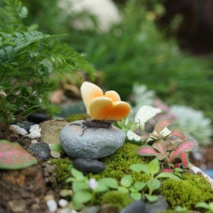2pcs Miniature Butterfly Sitting on the Stone , Fairy Garden Supplies & Accessories,Mini Animals for Fairies and Terrariums