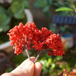 2pcs Miniature Tiny Red Maple Tree, Fairy Garden Supplies & Accessories