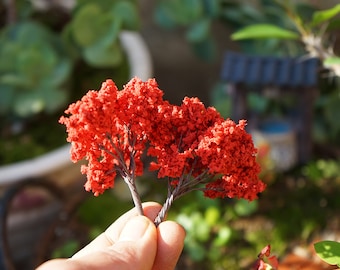 Könnte beinhalten: Zwei kleine, rote, künstliche Bäume mit Drahtstämmen. Die Bäume bestehen aus einem flauschigen, strukturierten Material und werden in der Hand einer Person gehalten.