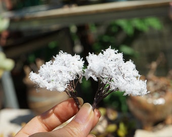 2pcs Miniature Tiny White Tree, Fairy Garden Supplies & Accessories