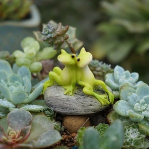 Miniature Little Two Frogs Sit on Stone , Fairy Garden Supplies & Accessories,Mini Animals for Fairies and Terrariums
