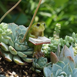 Miniature Frog Reading Book, Miniature Gardening, Terrarium Supply,Miniature Garden Decor