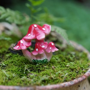 Accessoires de jardin féeriques Petite rose rouge Champignons de jardinage miniature, Fourniture terrarium, Décoration de jardin miniature