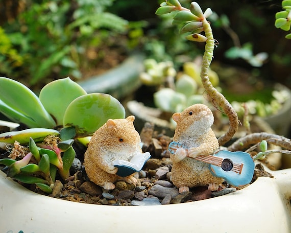 Hamster garden best sale