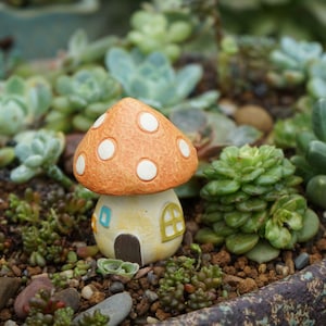 Fairy Garden Accessories Fairy Mushroom House, Miniature Gardening, Terrarium Supply