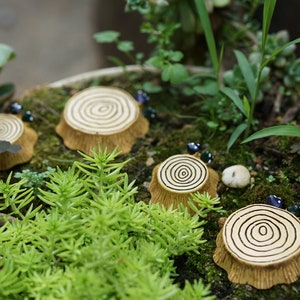 Set of 4pcs Fairy Garden Accessories Tiny Mixed Tree Stump Steps Fairy Accessories & Figurines, Miniature Gardening, Terrarium Supply