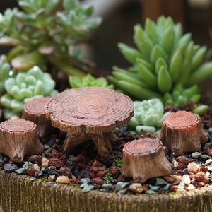 Peut inclure: Un ensemble miniature de table et de chaises en bois, parfait pour un jardin de fées ou une maison de poupée. L'ensemble est en bois brun et a un aspect rustique et naturel. La table est ronde et a un bord légèrement surélevé. Les chaises sont petites et ont un design simple.