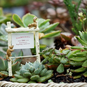 Fairy Garden Accessories Small Squirrel Guideboard , Miniature Gardening, Terrarium Supply