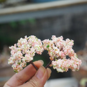 2pcs Miniature Tiny Pink Tree, Fairy Garden Supplies & Accessories