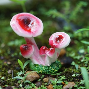 Accessoires de jardin féeriques Champignons dégradés miniatures Jardinage miniature, fournitures pour terrarium, décoration de jardin miniature Rose rouge