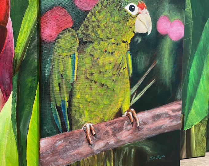 Puerto Rican Parrot Original Oil Painting 12”x16”