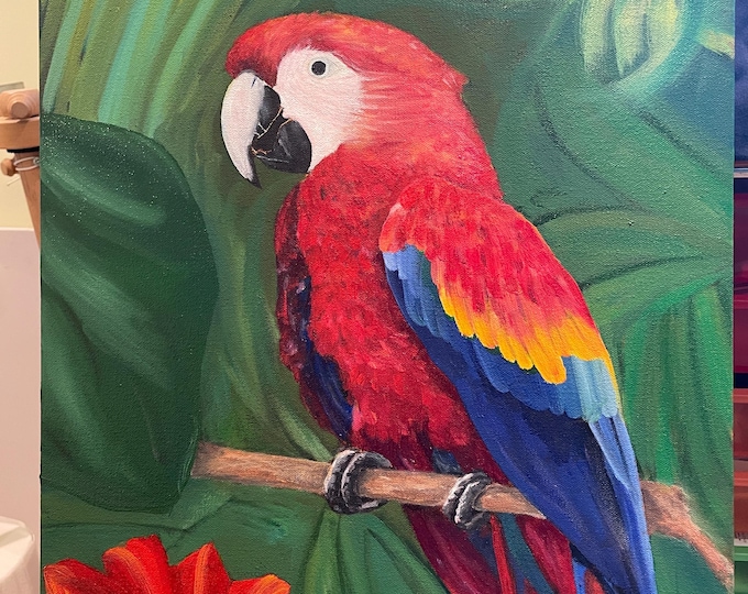 Macaw Parrot Original Oil Painting 16”x20”
