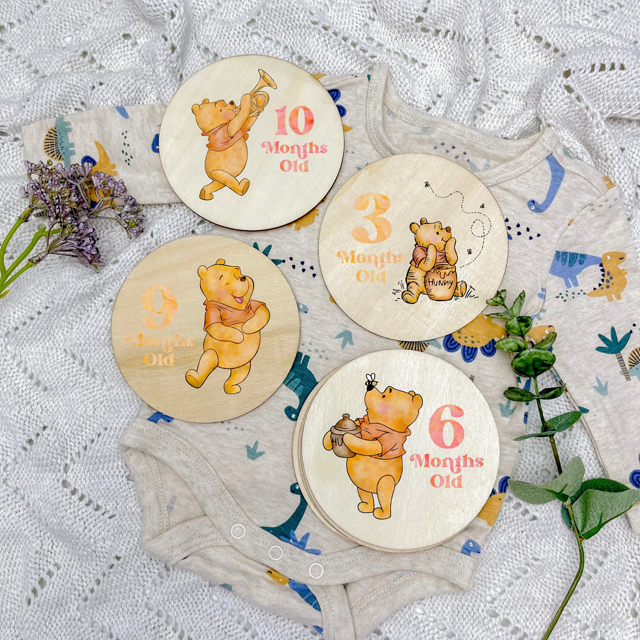 Hitos de Winnie the Pooh, hitos del bebé osito Pooh, hitos de Winnie the Pooh, tarjetas de hitos del bebé, discos de hitos del bebé, semanas del recién nacido