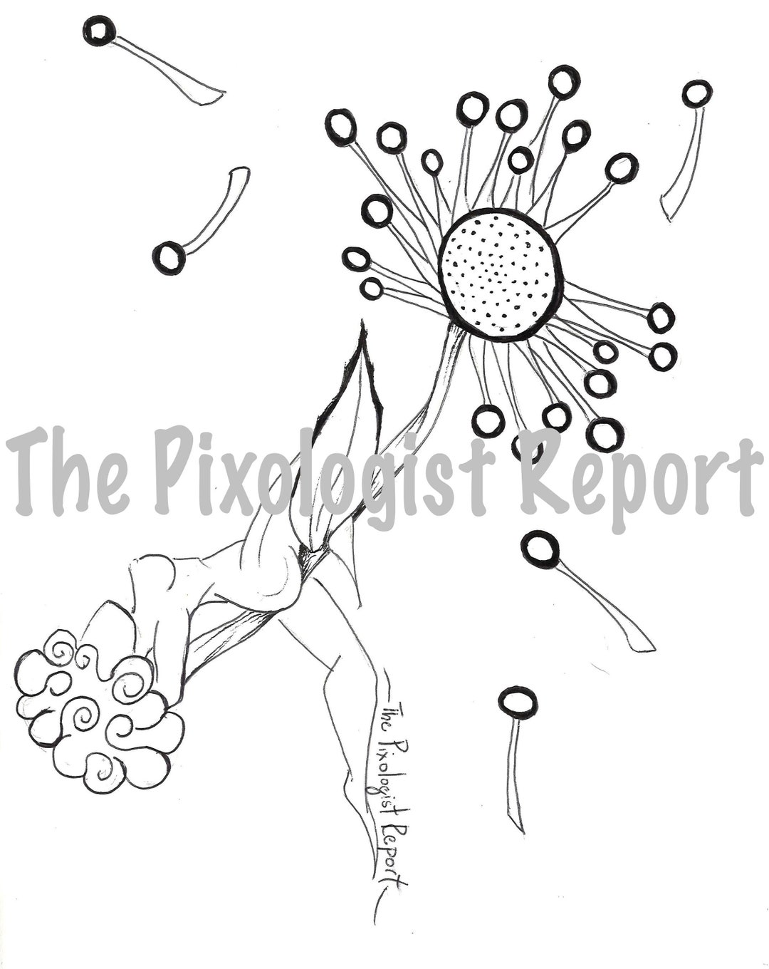 Dandelion Coloring Page - Etsy