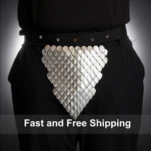May include: A black belt featuring a triangular-shaped decorative panel made of overlapping silver-colored metallic scales. The scales are arranged in a downward-pointing pattern, attached to a plain black fabric belt with visible metal rivets.