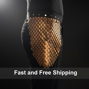 May include: A hip-mounted accessory featuring overlapping metallic scales in shades of copper, bronze, and gold. The scales are attached to a wide black waistband secured with silver-toned circular studs, worn over solid black trousers.
