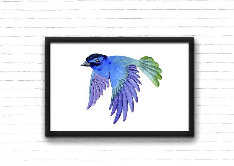 Indigo Bunting Blue Wild Bird Original Art Print 8x10 Matted to 11x14