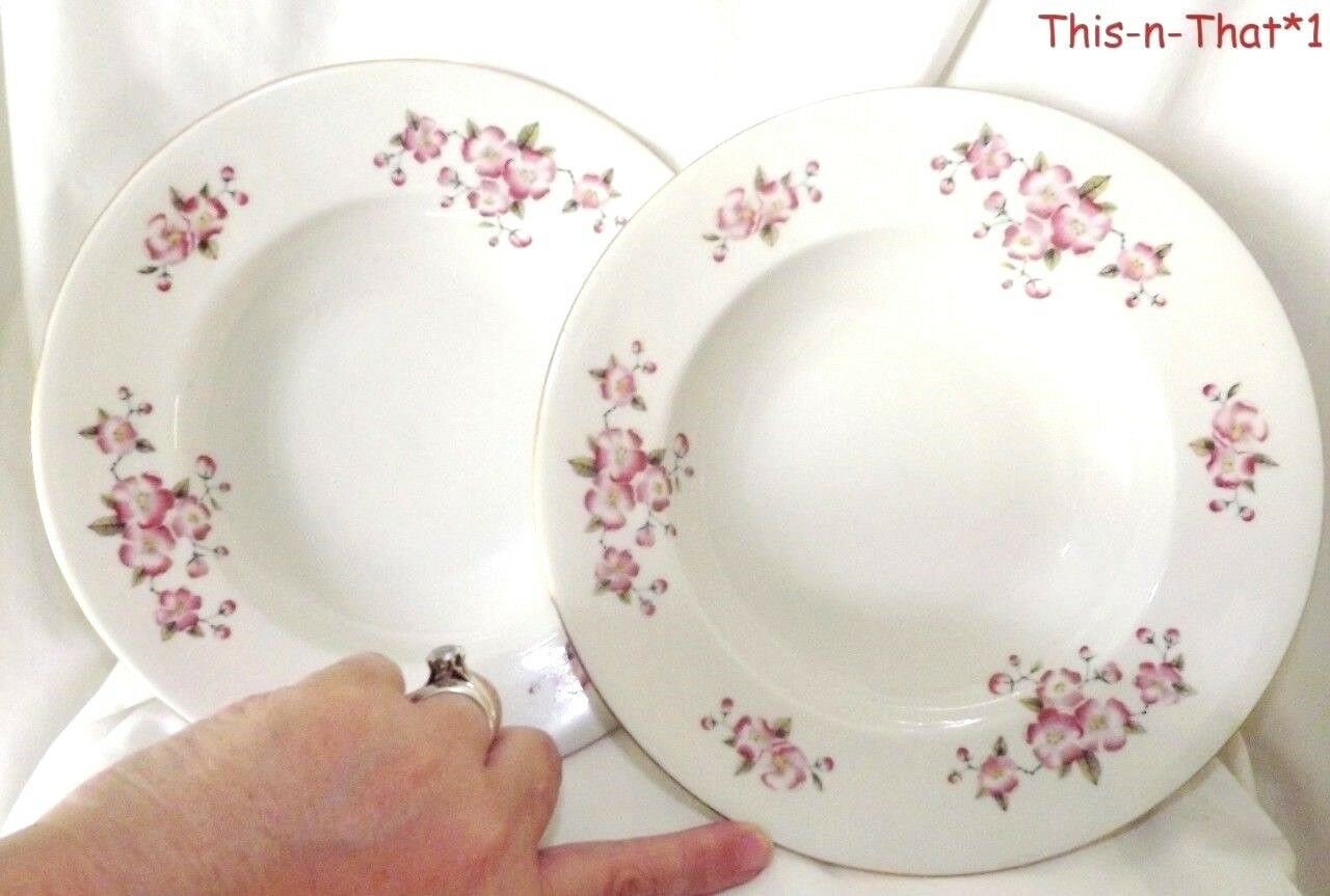 Cmielow Poland China - Etsy